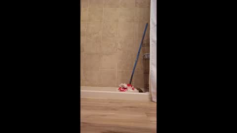 fetishdad863 online show from April 2026 02:18:01 PM