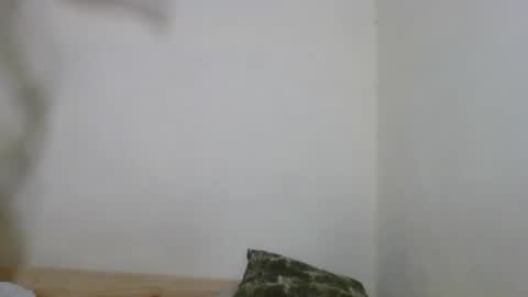 Snapshot of fetranialdy chatting on May 2026 03:56:01 AM fetranialdy online show from May 2026 03:56:01 AM