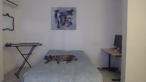 FeuerHeat online show from February 2025 12:09:02 PM