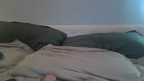 Horseman online show from October 2025 03:10:01 AM