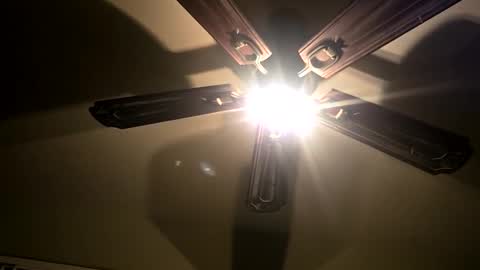 fightusfire32 online show from January 2025 12:52:02 PM