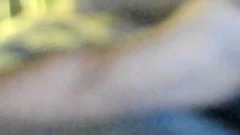 FILETMIGNONWITHONIONS online show from April 2026 10:40:01 AM