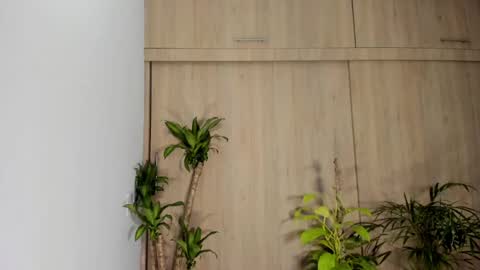 filletatouee online show from November 2025 01:44:01 AM