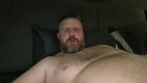fin bear dom online show from May 2026 05:34:02 AM