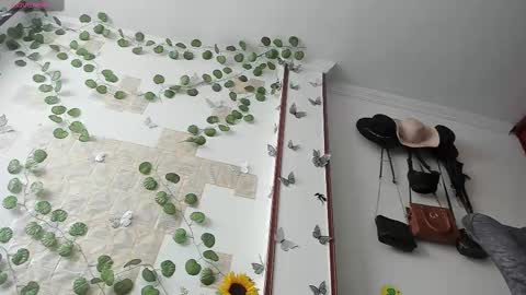     online show from September 2025 02:50:01 PM