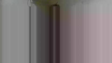 Snapshot of firsttime_freak chatting on February 2026 04:38:02 AM FirstTimeFeak online show from February 2026 04:38:02 AM