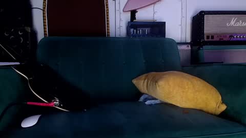 Flannel Dong online show from May 2026 11:36:01 AM