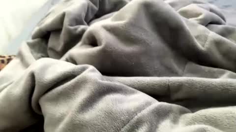 Snapshot of flaquitico chatting on December 2024 03:53:01 PM Jat online show from December 2024 03:53:01 PM