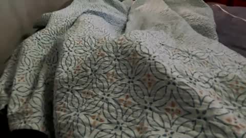 Snapshot of flaquitico chatting on December 2024 04:19:02 PM Jat online show from December 2024 04:19:02 PM