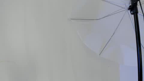 Snapshot of flavia_cruz chatting on January 2026 06:46:01 PM Flavia online show from January 2026 06:46:01 PM