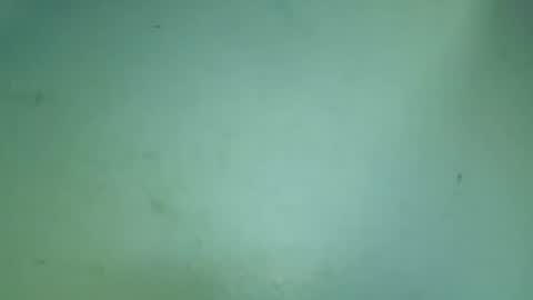 flooreenceee online show from July 2026 07:39:02 AM