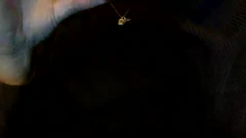 floraexploration online show from December 2024 06:27:01 PM