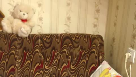 say meow and send tip  online show from February 2025 08:50:02 AM