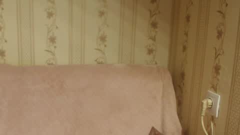 say meow and send tip  online show from November 2025 11:30:01 AM