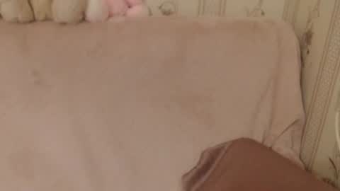 Snapshot of flowercandydoll chatting on June 2026 05:39:01 PM say meow and send tip online show from June 2026 05:39:01 PM