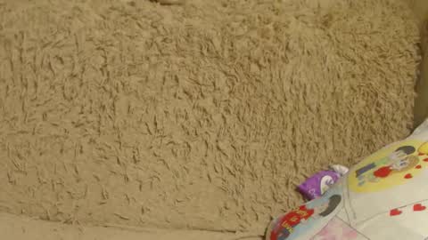 say meow and send tip  online show from December 2024 01:07:02 AM