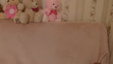 say meow  and  send tip  online show from June 2026 03:42:02 PM
