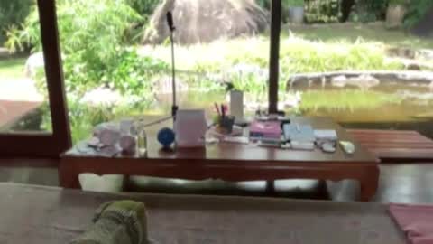 fluffy_bunnyxxx online show from February 2025 05:13:02 AM