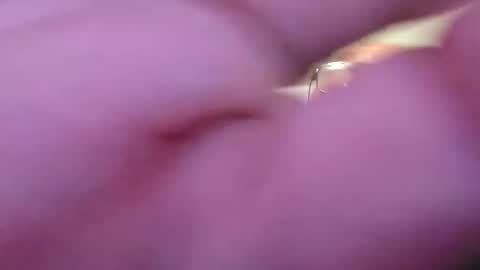 Snapshot of focusfuker chatting on November 2025 11:13:01 PM focusfuker online show from November 2025 11:13:01 PM