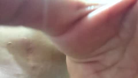 follador6543 online show from June 2026 12:56:02 AM