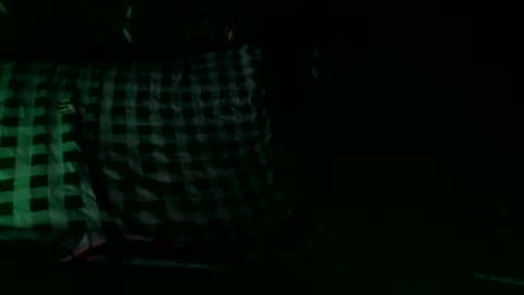 Thinline online show from November 2025 02:34:02 AM