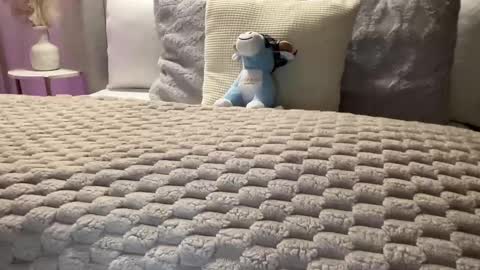 Snapshot of foxyluscious chatting on February 2025 06:37:01 PM Ms Celeste Anne online show from February 2025 06:37:01 PM