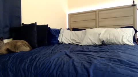 Angel online show from December 2024 03:39:01 PM