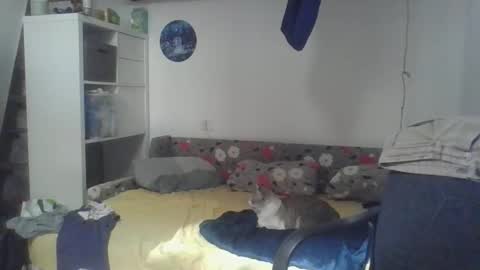 frcokin online show from April 2026 12:25:01 PM