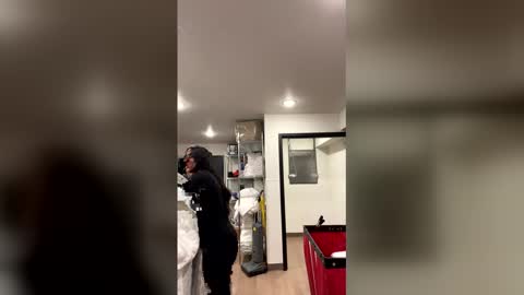 Snapshot of freakyyylatinaa chatting on January 2026 09:36:01 AM freakyylatinagoddess online show from January 2026 09:36:01 AM