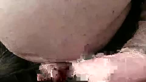 Snapshot of fredaldavid chatting on January 2025 05:03:01 PM David Fredal online show from January 2025 05:03:01 PM