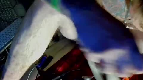 freeman2doyou2 online show from December 2024 08:16:02 AM