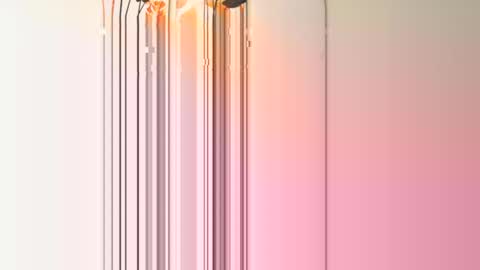 frenchcouple739 online show from December 2024 04:38:02 PM