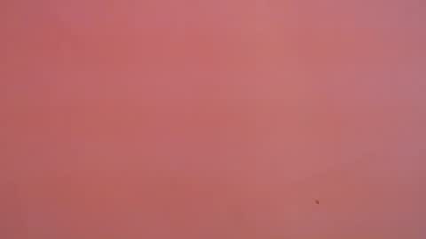 Snapshot of freyjashine_x chatting on January 2025 11:16:02 PM FREYJA LOREN online show from January 2025 11:16:02 PM