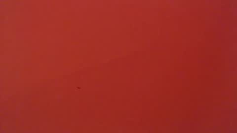 Snapshot of freyjashine_x chatting on February 2025 05:14:01 AM FREYJA LOREN online show from February 2025 05:14:01 AM