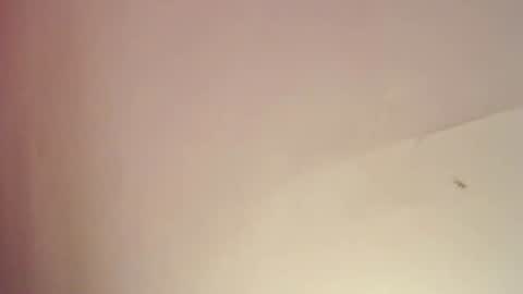 Snapshot of freyjashine_x chatting on February 2025 08:09:02 PM FREYJA LOREN online show from February 2025 08:09:02 PM