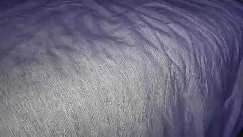 Snapshot of freythegemini chatting on January 2025 03:46:01 AM FreyaTheGemini online show from January 2025 03:46:01 AM