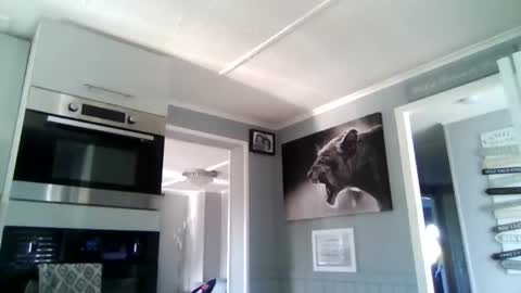 bob online show from December 2025 10:53:01 AM