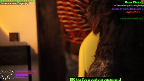   Jaywise Frogfoot  online show from December 2024 09:47:02 PM