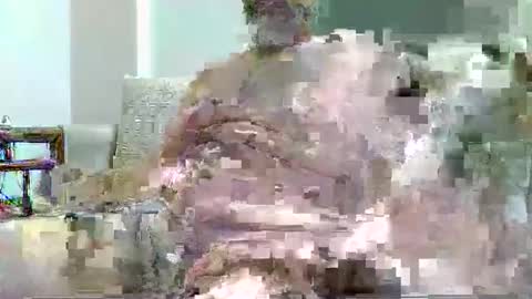 fruti loops  Bull online show from September 2025 04:50:02 PM