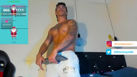 Ricardodominic 1   MODELO INDEPENDIENTE online show from December 2024 04:20:02 AM