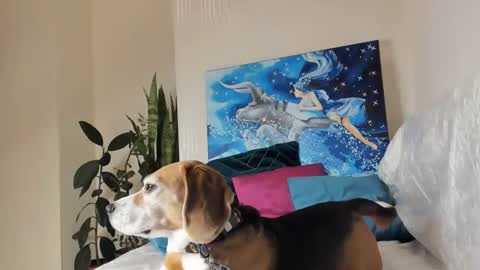 Snapshot of fuckingfairy chatting on January 2025 01:21:02 AM Vicky online show from January 2025 01:21:02 AM