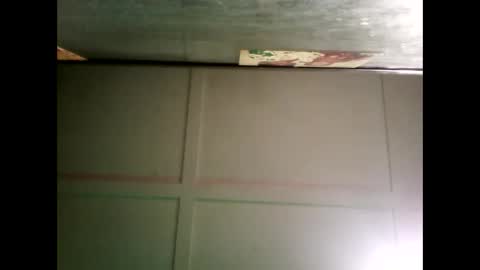 Warwick online show from December 2024 08:31:01 AM