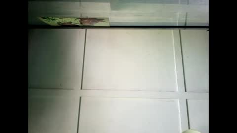 Warwick online show from December 2024 02:24:01 AM