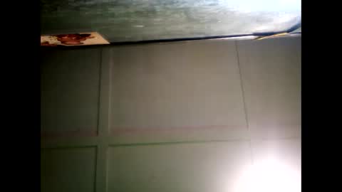 Warwick online show from December 2024 08:55:01 AM