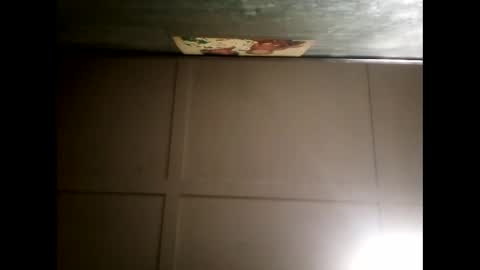 Warwick online show from January 2025 10:53:02 AM