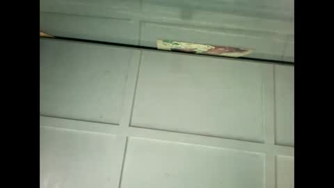 Warwick online show from January 2025 11:55:01 PM