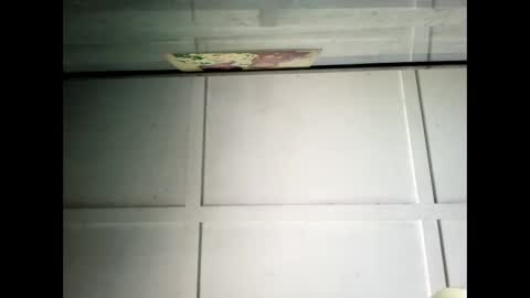 Warwick online show from January 2025 02:38:02 AM