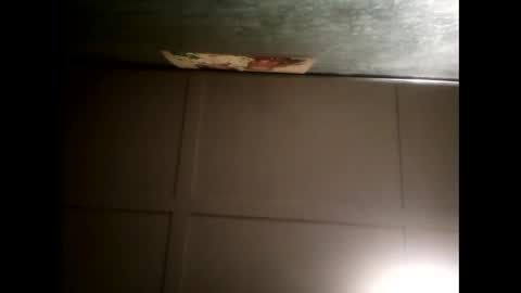 Warwick online show from February 2025 08:48:02 AM