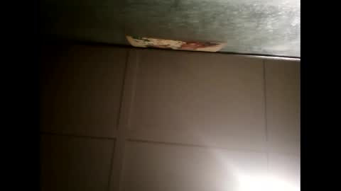 Warwick online show from February 2025 11:20:01 AM