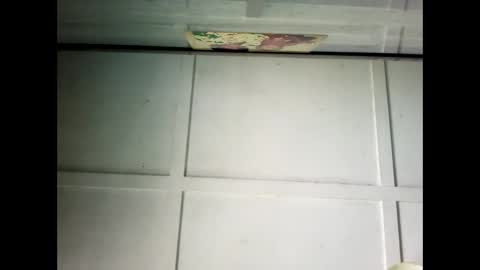 Warwick online show from February 2025 01:02:02 AM